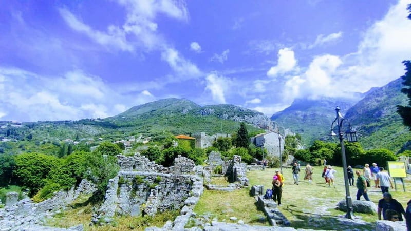 Bar: City Tour with Museum and Old Olive Tree Visit - Pricing and Value