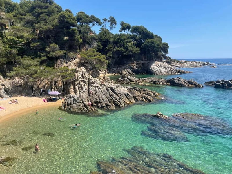 Barcelona Adventure: Hike Snorkel and Jump in Costa Brava - Who Will Love This Experience?