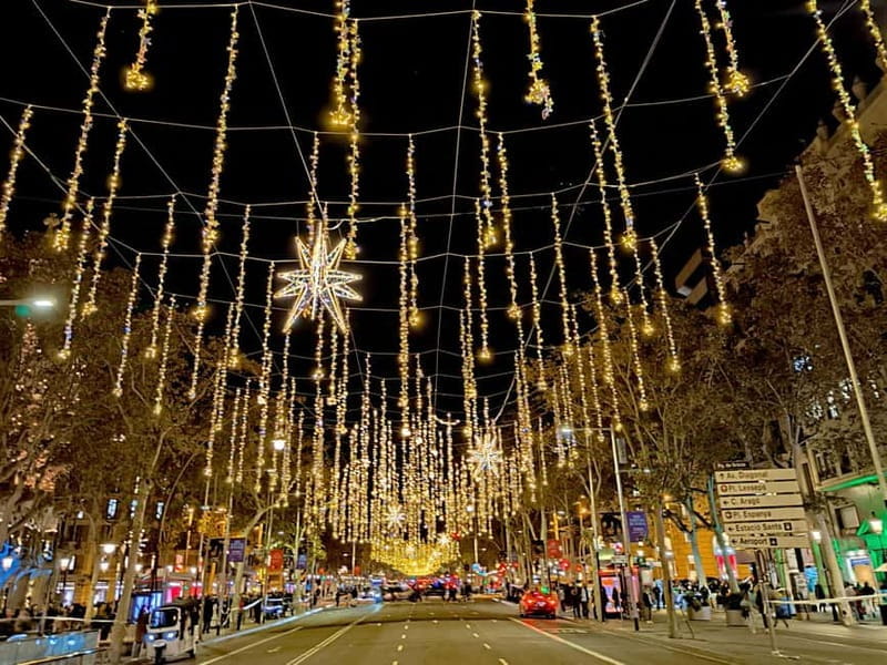 Barcelona: Christmas Walking Tour - Price and Logistics: A Good Deal for the Season