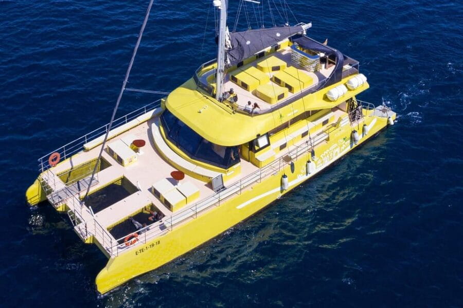 Barcelona: Daytime or Sunset Catamaran Cruise with Music - Exploring the Experience: What It’s Like to Cruise Barcelona’s Coast