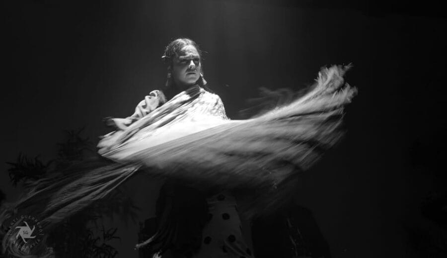 Barcelona: La Laietana Flamenco Show Ticket - Price and Logistics: Good Value in a Prime Location