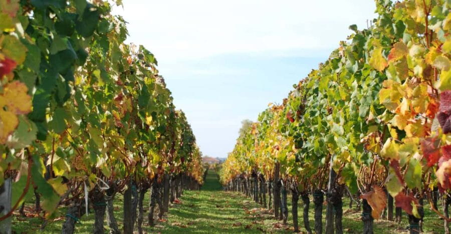 Barcelona: Private E-Bike Tour and Wine Tasting - Discovering Barcelona’s Coastline on Electric Bikes