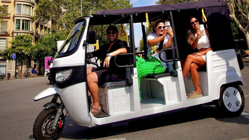 Barcelona: Private Hop-On Hop-Off Lion Tuk Tuk Tour - Detailed Breakdown of the Experience