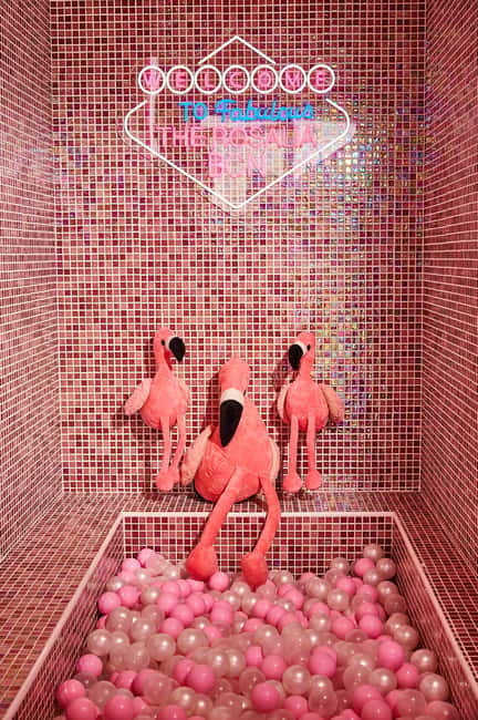 Barcelona: Sensory Dinner Signature Cocktail and Live Show - The Culinary Adventure: Bold Fusion Flavors