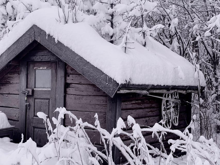 Bardufoss: Wild Moose Safari with Lunch - The Drive: Into the Heart of Moose Country