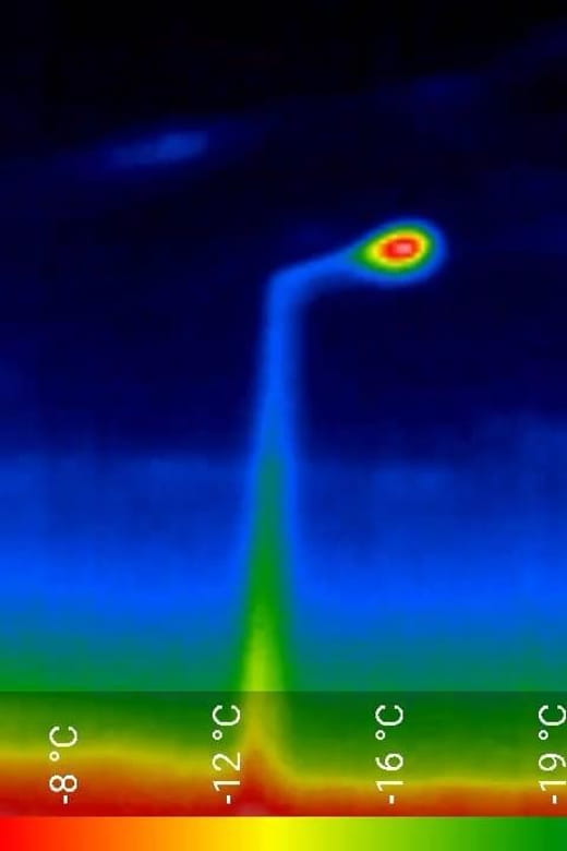 Bat Watching Madeira - Discovering the Nighttime World of Madeira’s Bats