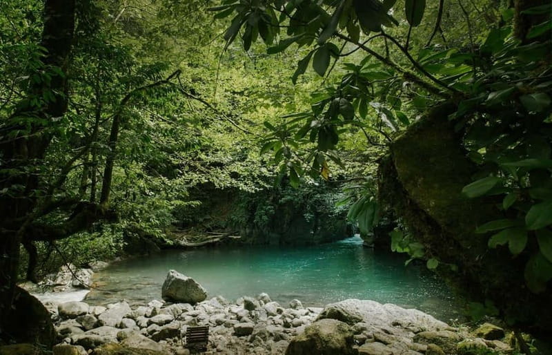 Batumi to Mtirala National park - Half day hiking group tour - Crossing the River: Handmade Cable Car Experience