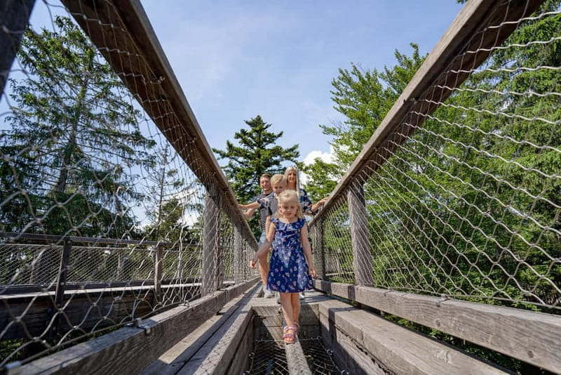 Bavarian Forest: Treetop Walk & Egg Tower Experience - Exploring the Bavarian Forest from Above