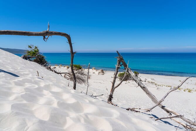 Beach Tour Porto Pino and Piscinnì - The Sum Up