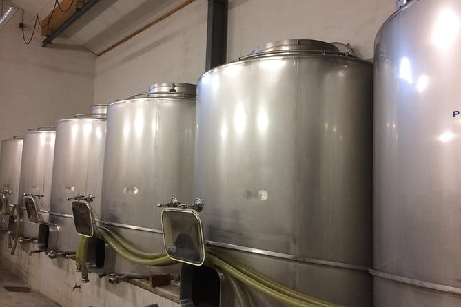 Beaujolais Crus Wines & Castles (9:00 am - 1:30 pm) - Small Group Tour from Lyon - Who Will Get the Most Out of This Tour?