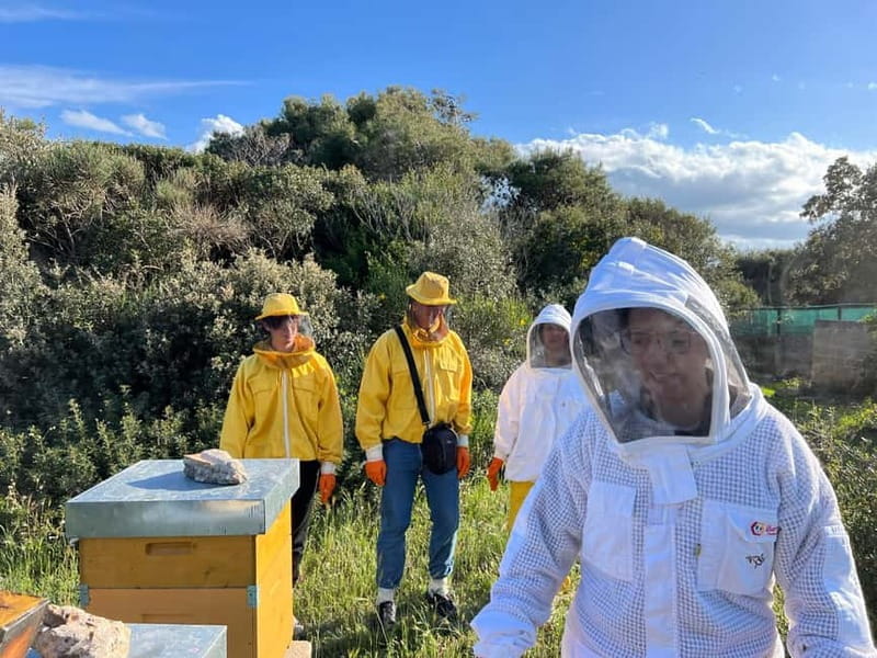Beekeeper for a Day in the Torre Guaceto Reserve - The Itinerary: What You’ll Experience Step-by-Step