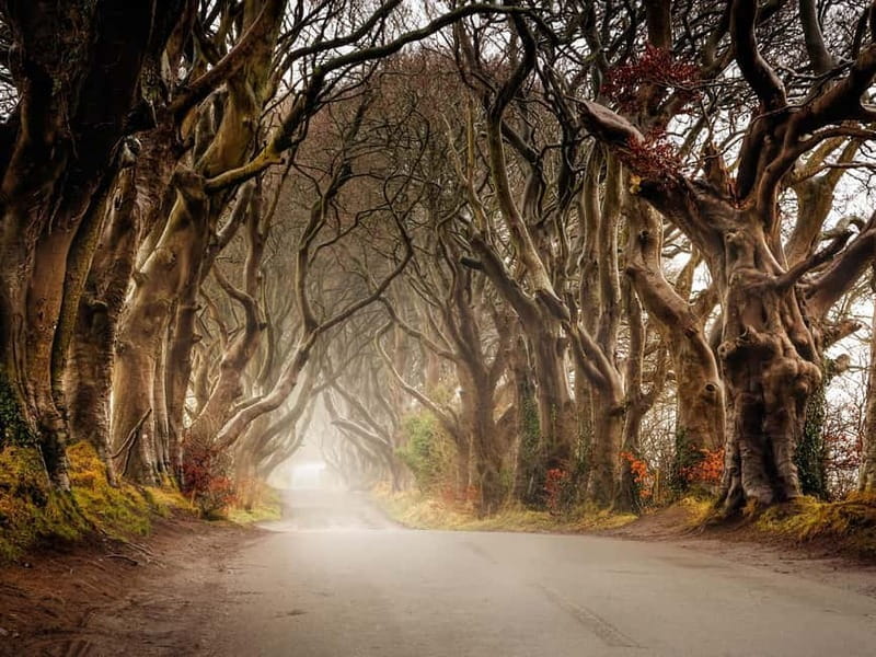 Belfast: Giant's Causeway Tour and 2-Day Open Top-Bus Tour - Exploring the Full-Day Giants Causeway Tour