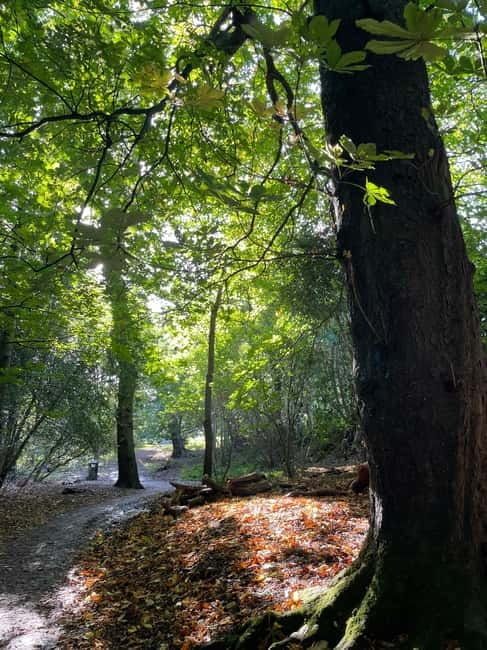 Belfast: Sir Thomas & Lady Dixon Park Walk & Alfresco Picnic - Final thoughts: the value of this experience