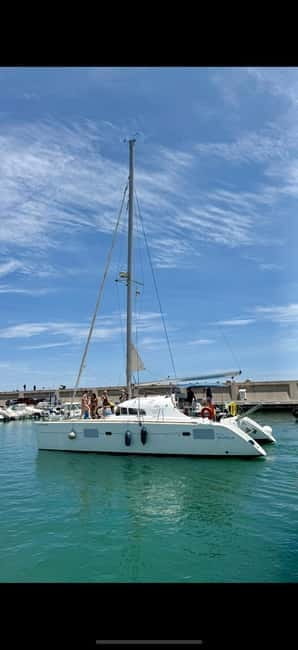 Benalmádena 2-hour Group Tour with Dolphin Watching - What You’ll Experience on the Water