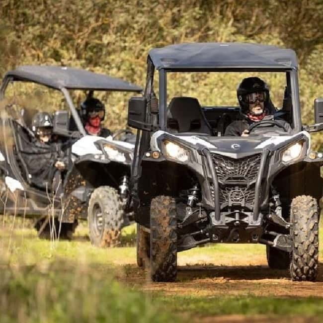 Benidorm - Albir - Altea: 2-Hour Buggy Adventure - Price and Logistics