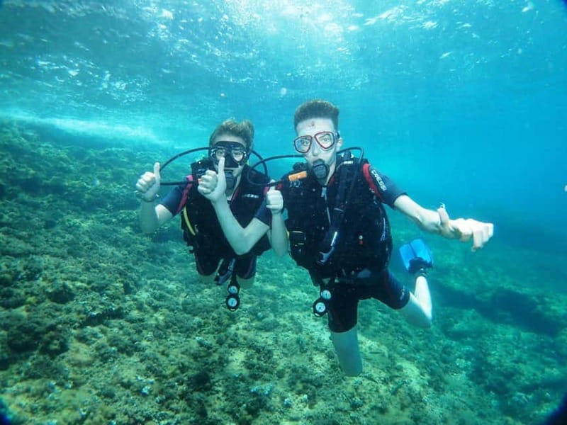 Benidorm: Scuba Diving Experience - Discovering the Underwater World of Benidorm: What to Expect
