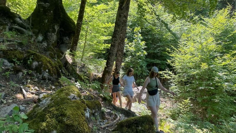 Berat: Tomorr Mountain and Lakes of Dardhë Day Trip - The Scenic 4x4 Drive into Tomorr National Park