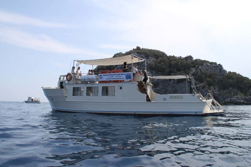 Bergeggi Island: Boat trip with a swimming stop - Entering The Marine Paradise: An Up-Close Look at Bergeggi Island