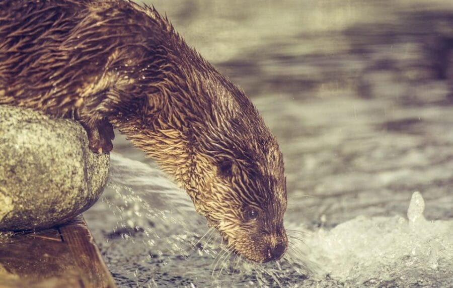 Bergen: Bergen Aquarium Entry Ticket - Learning and Entertainment: What to Expect