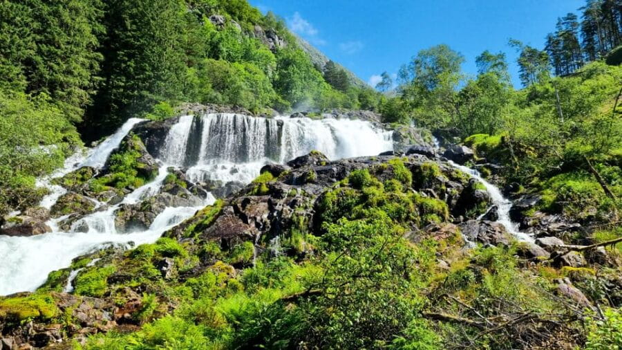 Bergen: Cruise to beautiful Rosendal by the Hardangerfjord - Why This Tour Is a Great Choice