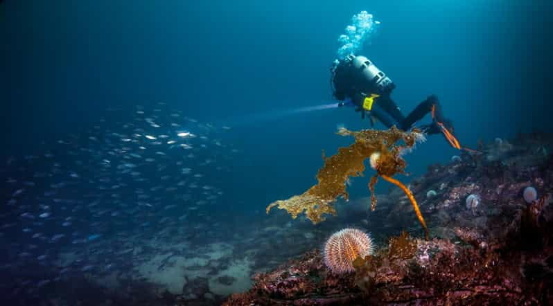 Bergen: Guided Scuba Diving - How the Itinerary Unfolds