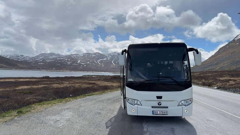 Bergen: Hardangerfjord Day Trip with Waterfalls - Who Will Love This Tour?