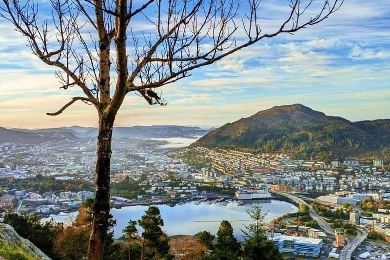 Bergen Like a Local: Culture, Views, and the Stave Church - Riding the Fløibanen Funicular for Panoramic Views