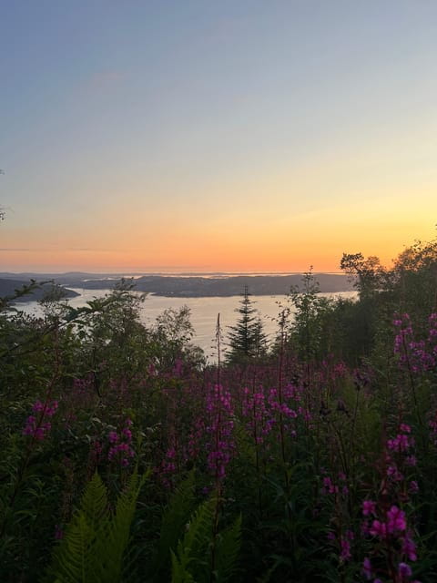 Bergen Magical Nature Tour | ViFlowExperience - Discovering Bergen’s Hidden Trails and Scenic Neighborhoods