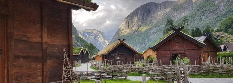 Bergen: Nærøyfjord Cruise and Flåm Railway Ride to Oslo - Who Will Love This Tour?