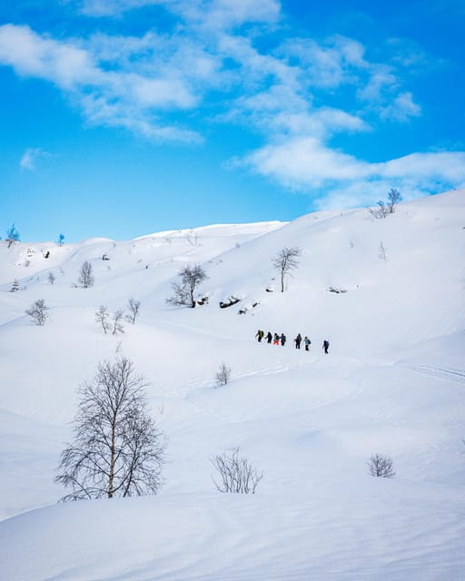 Bergen: Snowshoe Hike - Public Tour - The Summit and Fjord Views