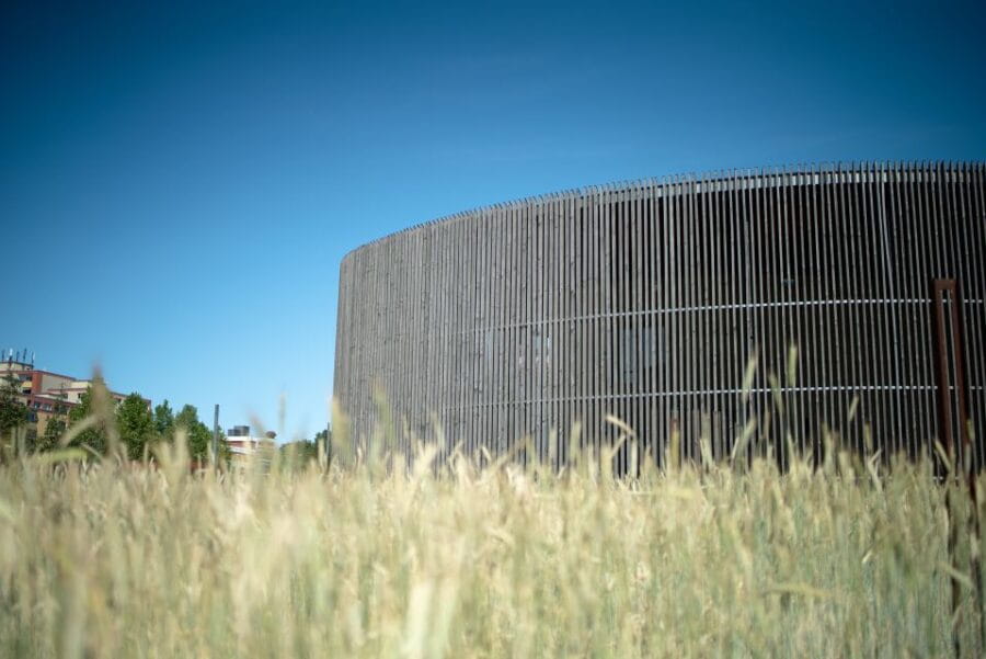 Berlin Insider's Cold War Walking Tour - Who Will Love This Tour?