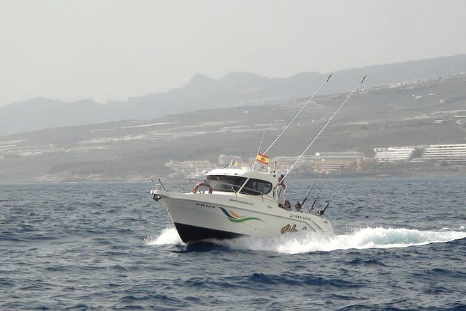 Best Fishing experience in Tenerife island - Key Points / Takeaways