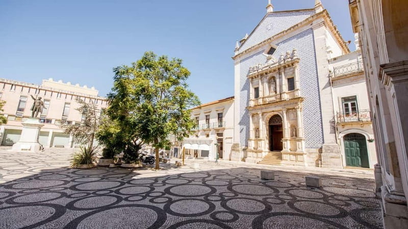 Best of Aveiro: Private Walking Tour with a Local - Detailed Breakdown of the Tour Experience