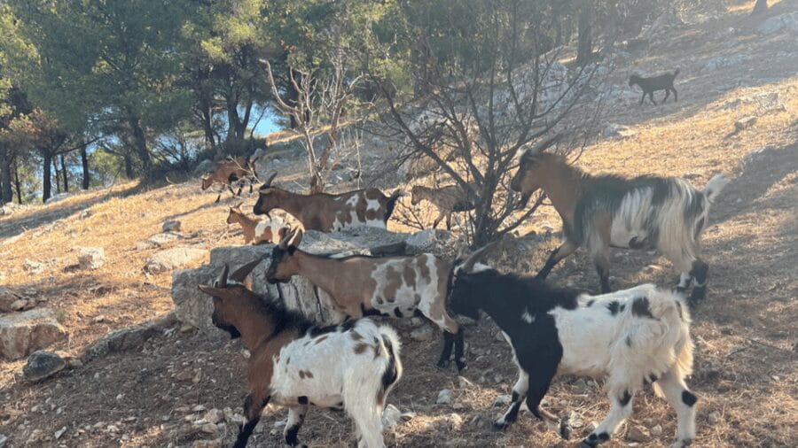 Between sea and hills: in the footsteps of Allauch, Aix, Marseille - The Itinerary in Detail