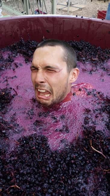 Beziers: Eco Wine Tasting at Sarabande Wines Off-Grid Winery - Experience the Charm of Sarabande Wines: A Deep Dive