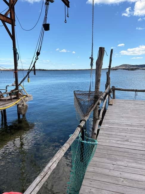 Béziers: Wine and Oyster Tasting Tour at Thau lagoon - Price and Logistics: What You Need to Know