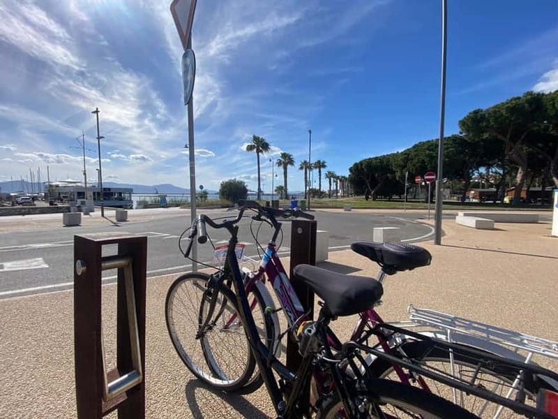Bike rental: Port of Cagliari, Su Siccu, Nervi Park, Molentargius - Price and Value