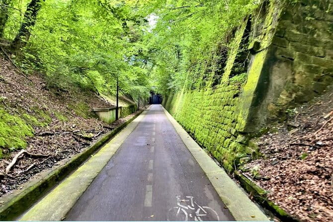 Bike Tour in San Sebastián with FREE pintxo and drink! - Who Is This Tour Best For?