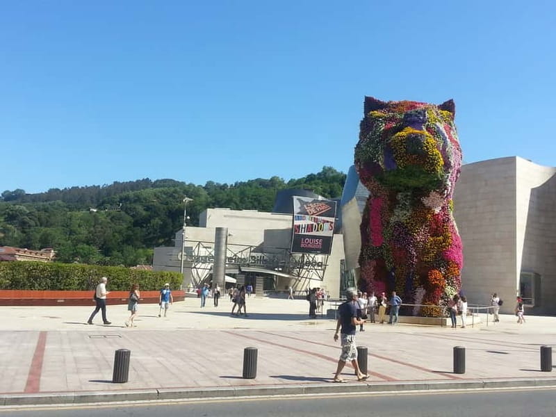 Bilbao: Guggenheim Bilbao museum Ticket included in spanish - Who Should Consider This Tour