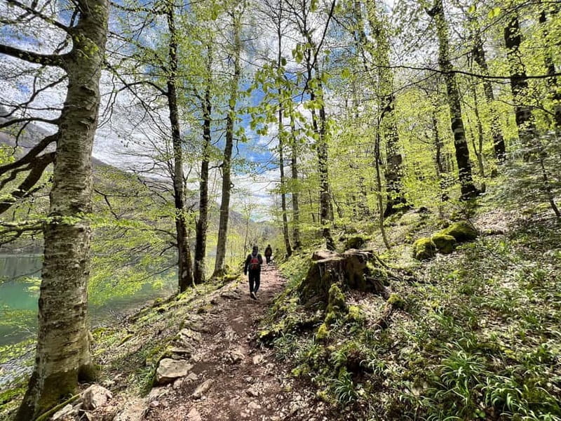 Biogradska Gora National Park - monastery & Moraca Canyon - Practical Tips for Making the Most of Your Day