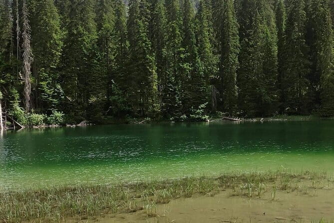 Biogradska Gora National Park Tour with Optional Add-Ons - Scenic Drives and Panoramas