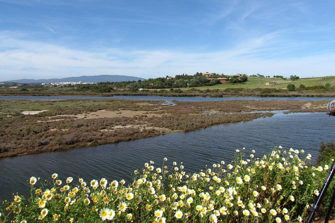 Birdwatching at Ria de Alvor - Watching birds at the Ria de Alvor wetland