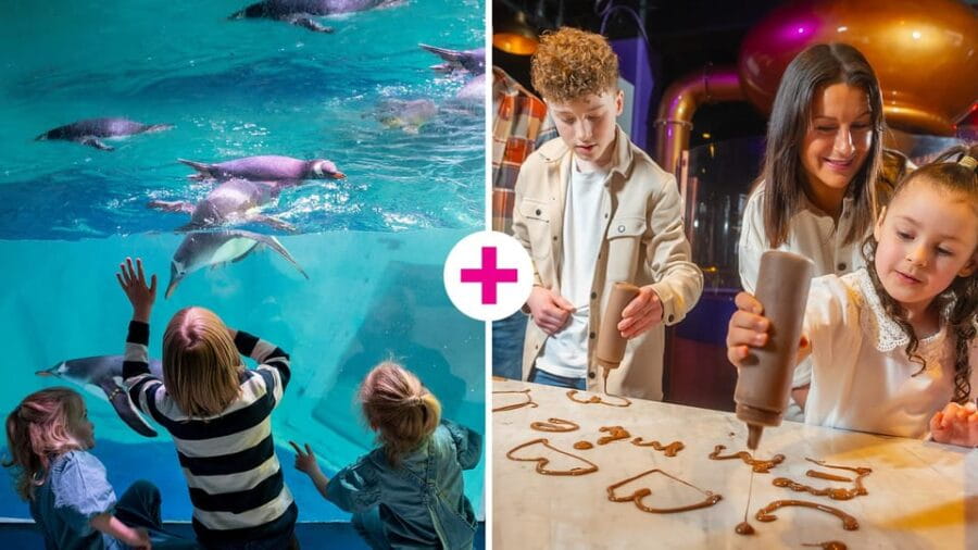 Birmingham: Cadbury World & SEA LIFE Birmingham - Exploring Birmingham’s Sweet Side at Cadbury World