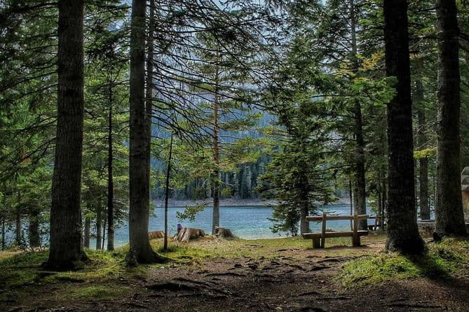 Black Lake and Djurdjevica Tara Bridge (Private tour) - The Sum Up: Why You Should Consider This Tour