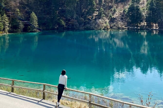 Blausee, Interlaken and alpine villages private guided tour from Luzern - Who This Tour Is Perfect For