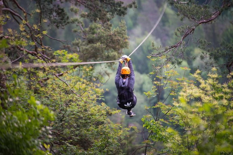 Bled: Europe's Longest Zipline Adventure over Dolinka River - The Zipline Itself: Seven Stunning Cables Over 2.5 Hours