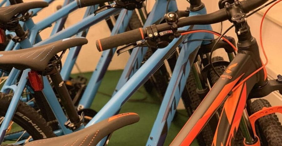 Bled: Mountain Bike Rental - Why Rent a Mountain Bike in Bled?