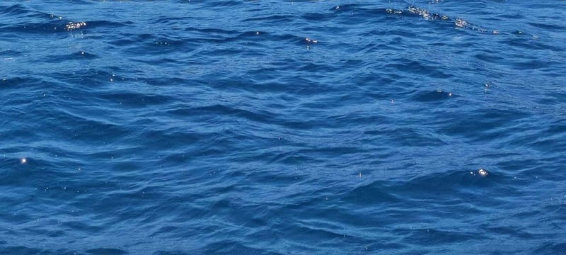 Blue Lagoon Latchi, coach transfer+boat trip, Half day trip - Who Will Love This Experience?