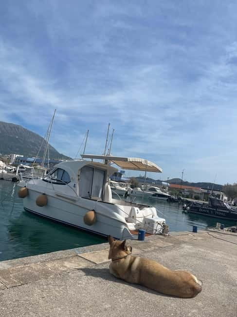 Boat Rental in Marina Bar Montenegro - Who Will Love This Experience?