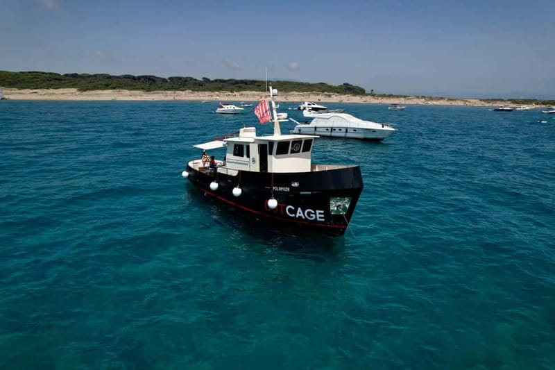 Boat tour Golfo Aranci: Tavolara and Molara Marine Protected Area - The Sum Up: Who Should Book This Tour?
